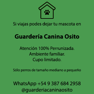 Guardería Canina Osito